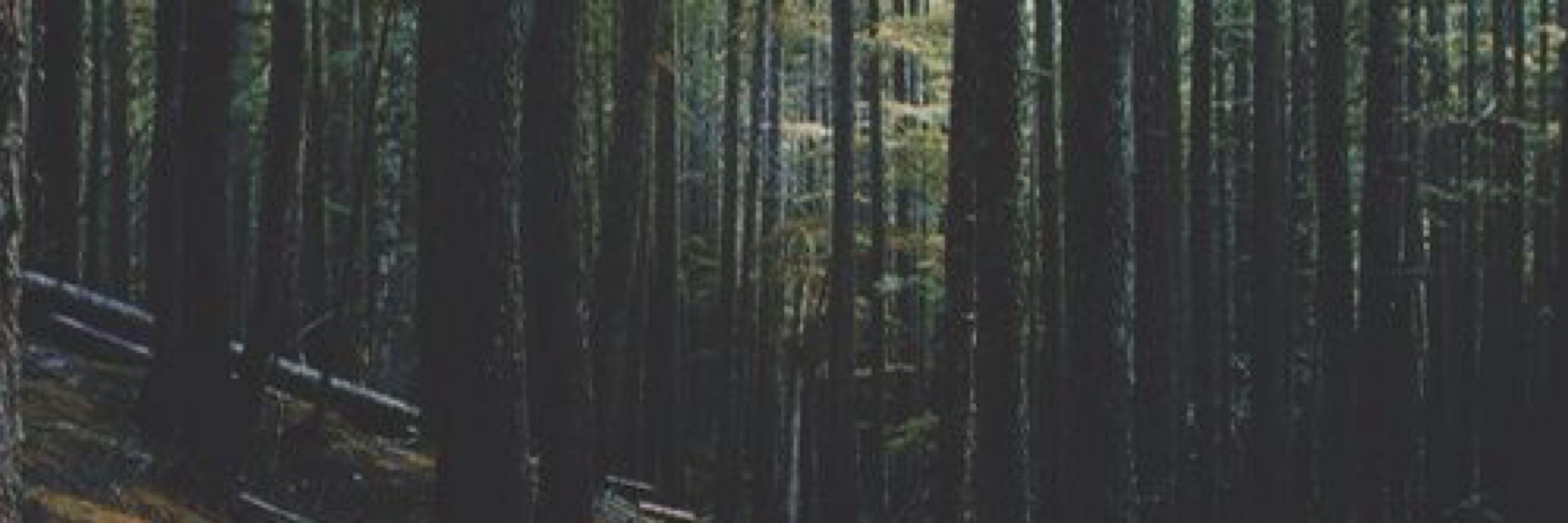  V O L I
