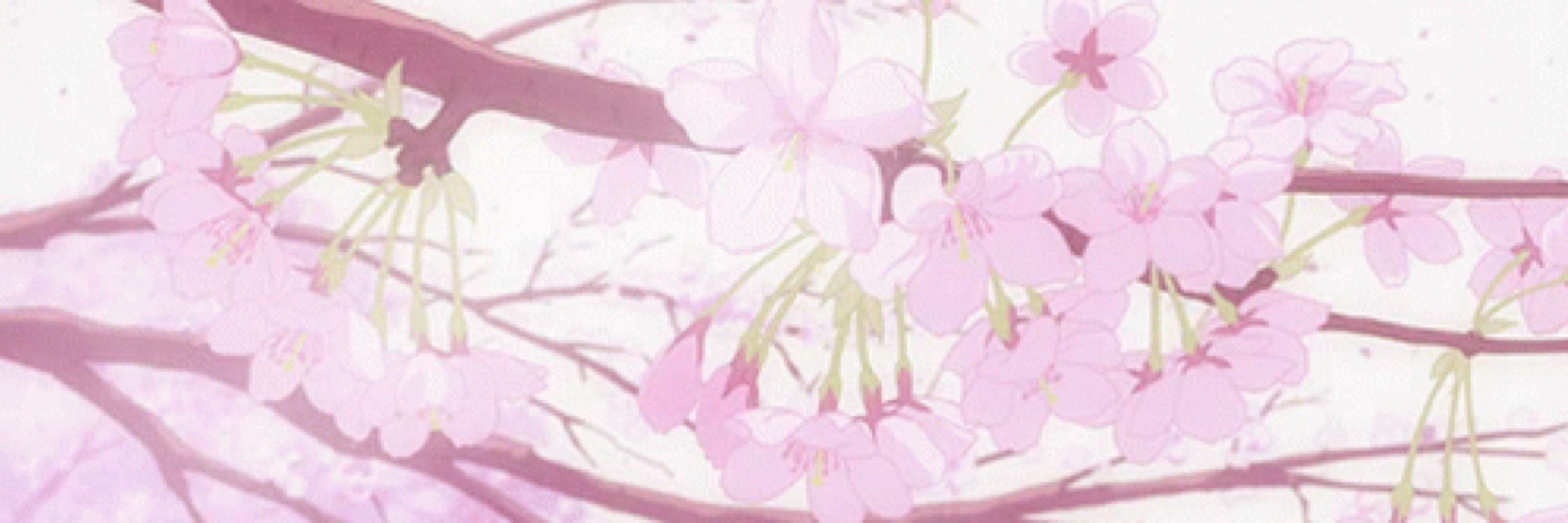 🌸Angi🍎