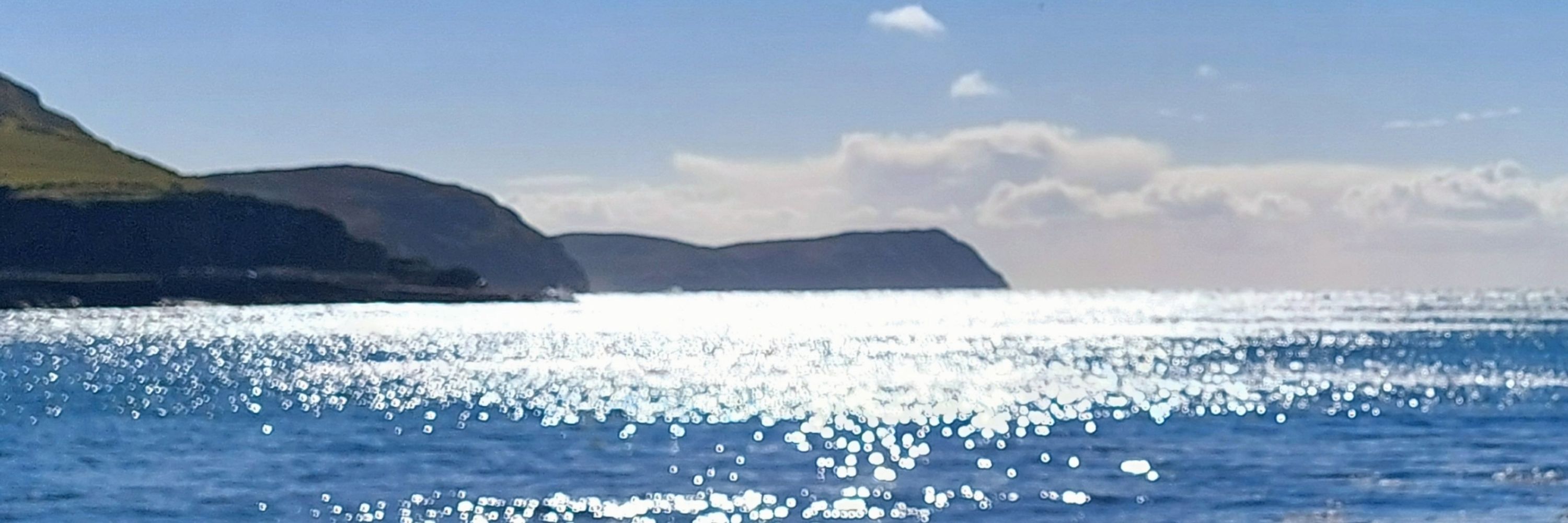 backoftheocean