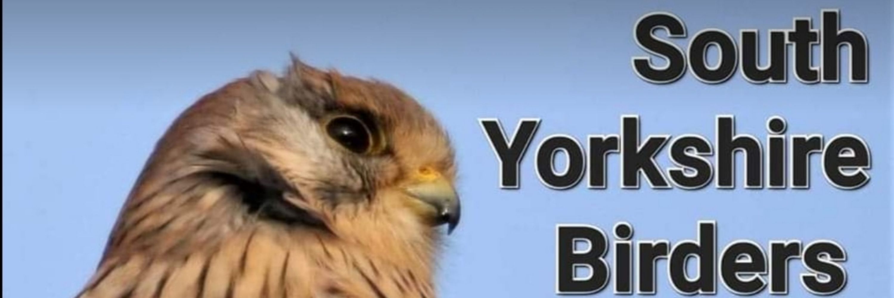 South Yorkshire Birders