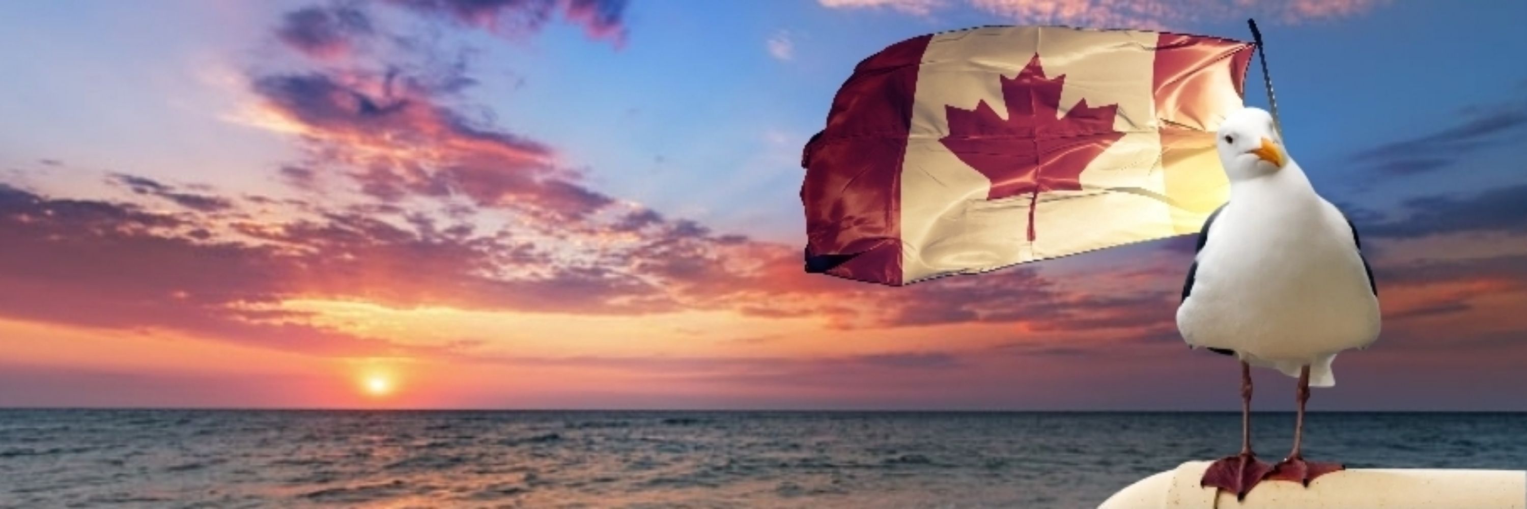 🇨🇦 Left Coast 🇨🇦