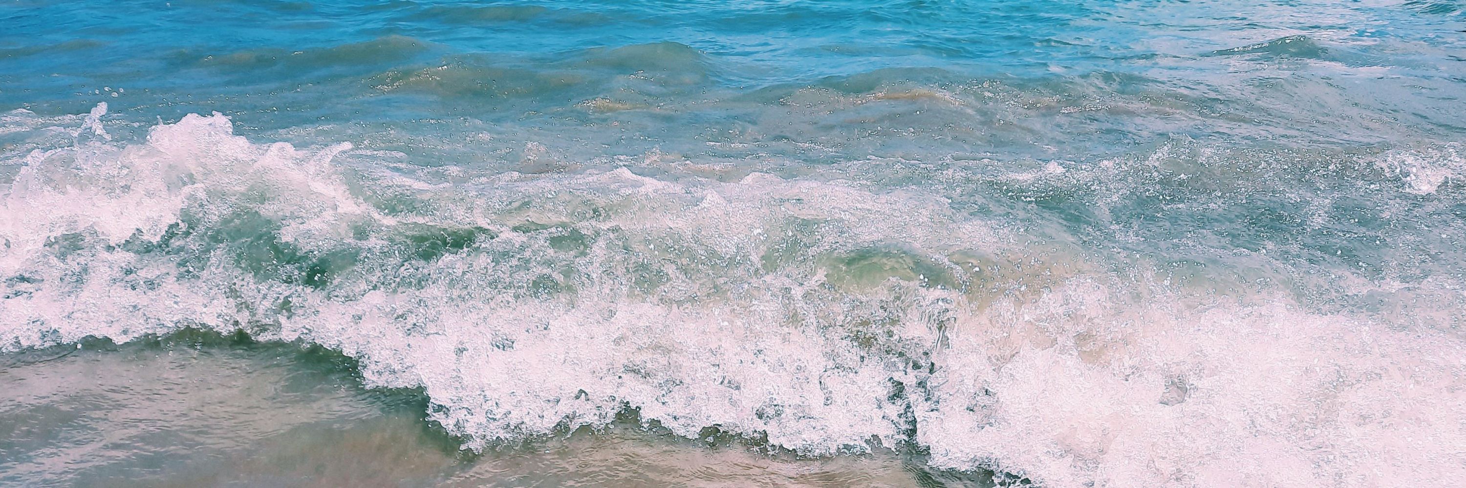 vivi 🌊