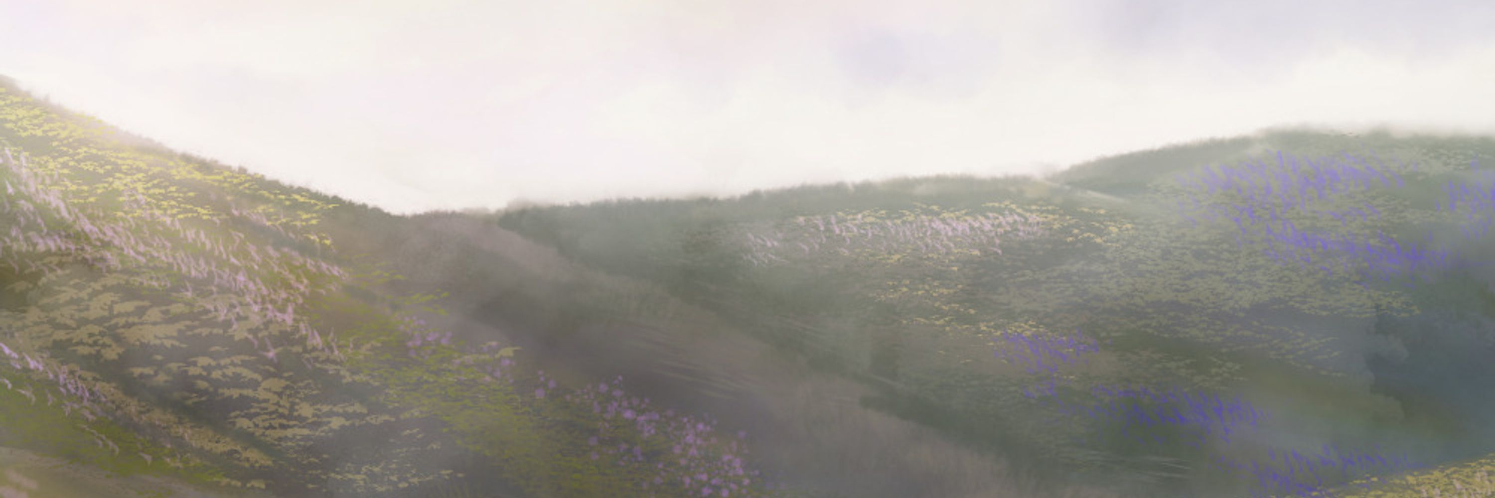 Phoxe