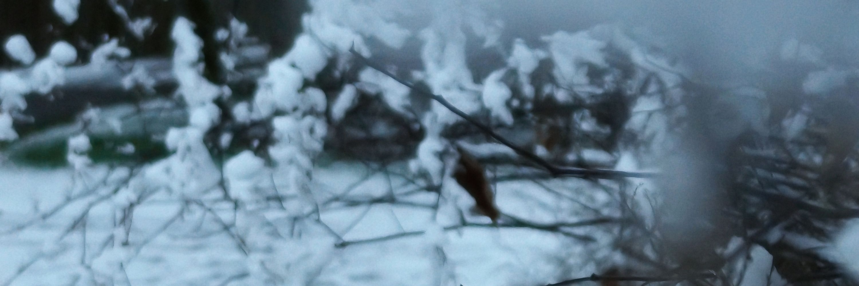 ❄️