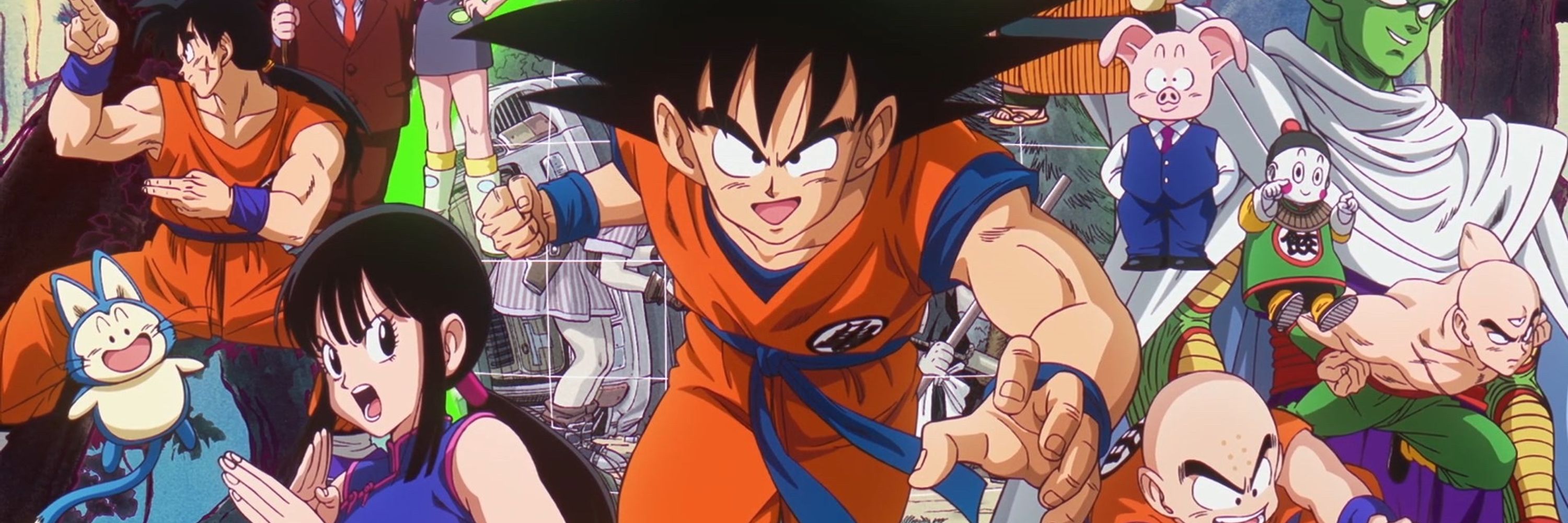 Dbzebra