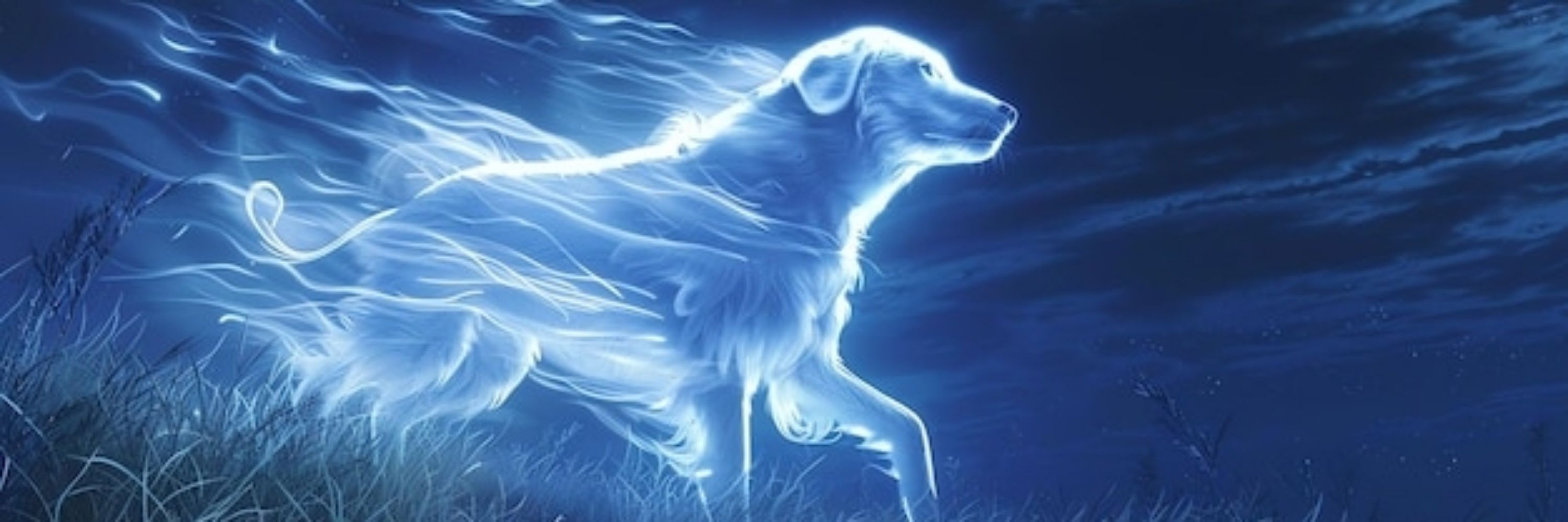Sirius Black 