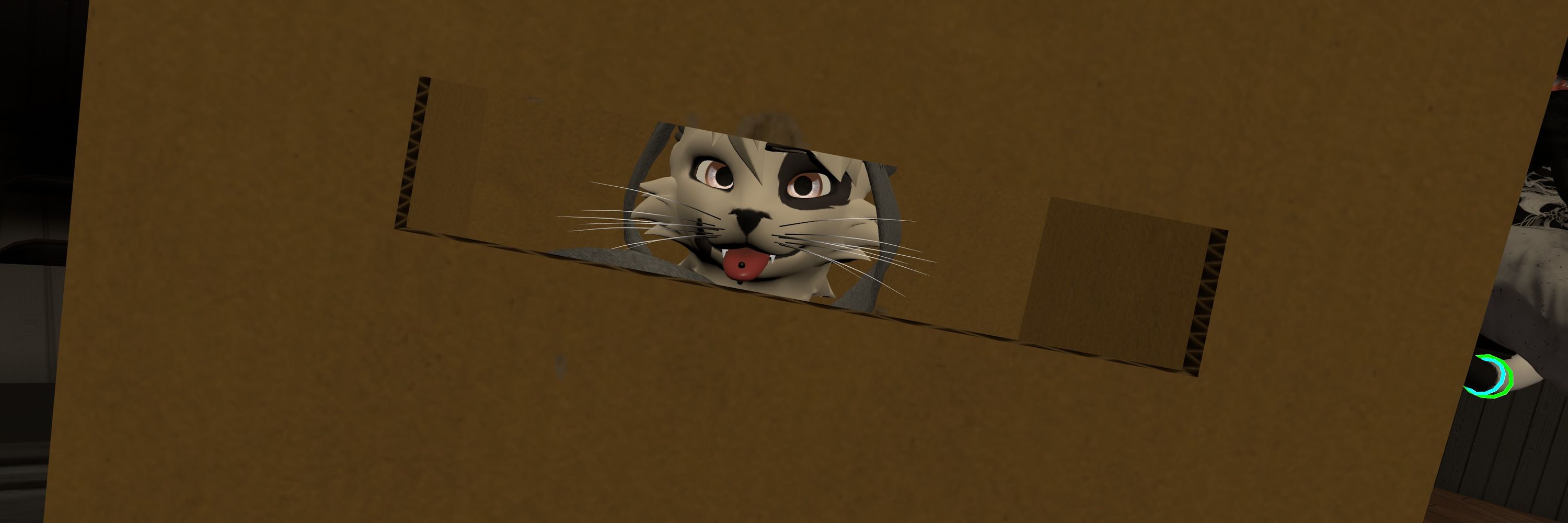 Avidan_Fox