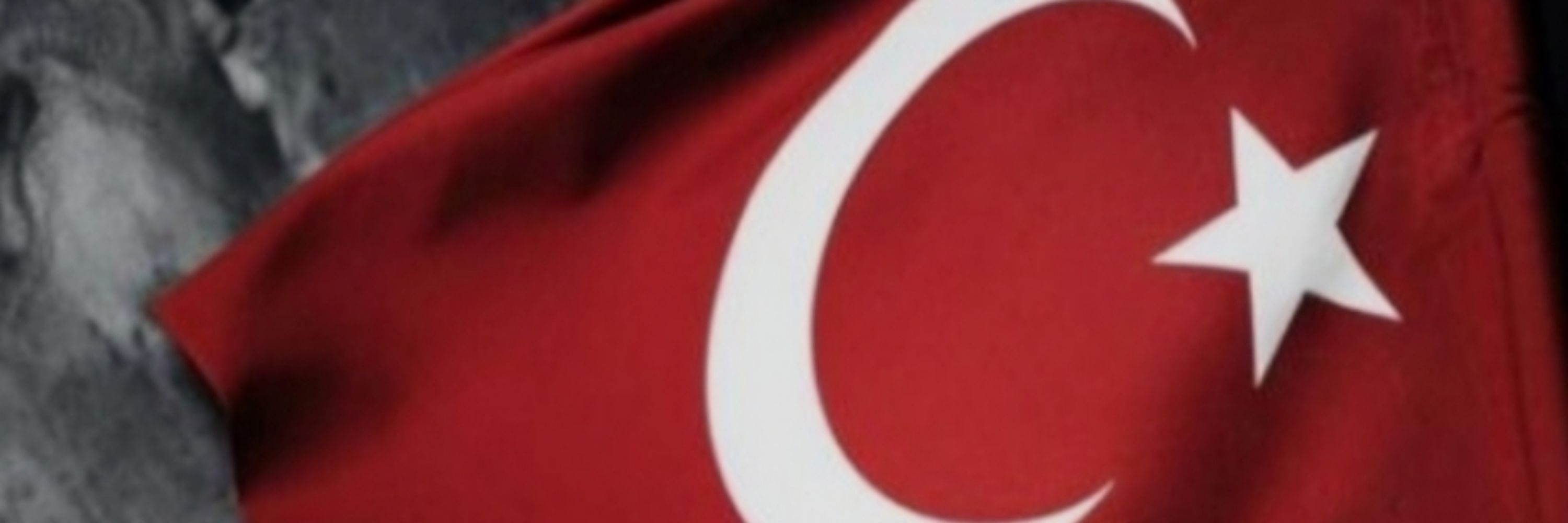 TÜRK MİLLİYETÇİLERİ FEDERASYONU