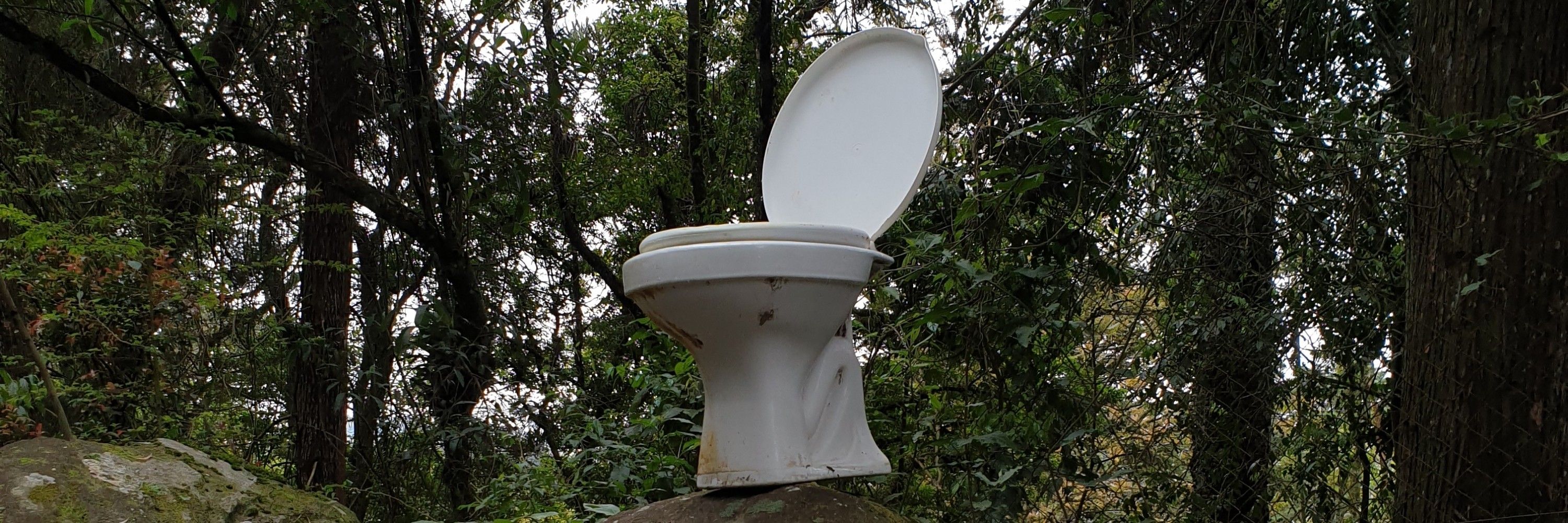 luisinhobr