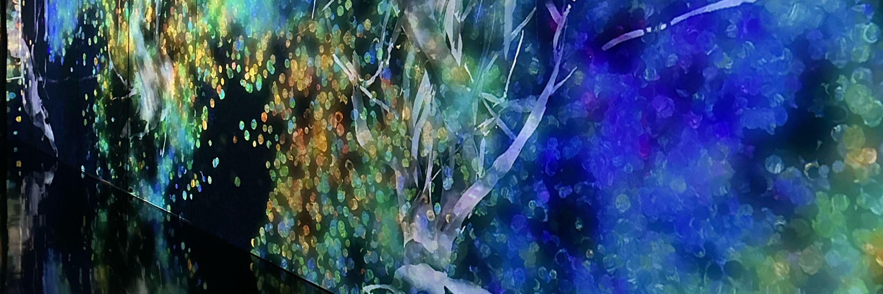 しほ
