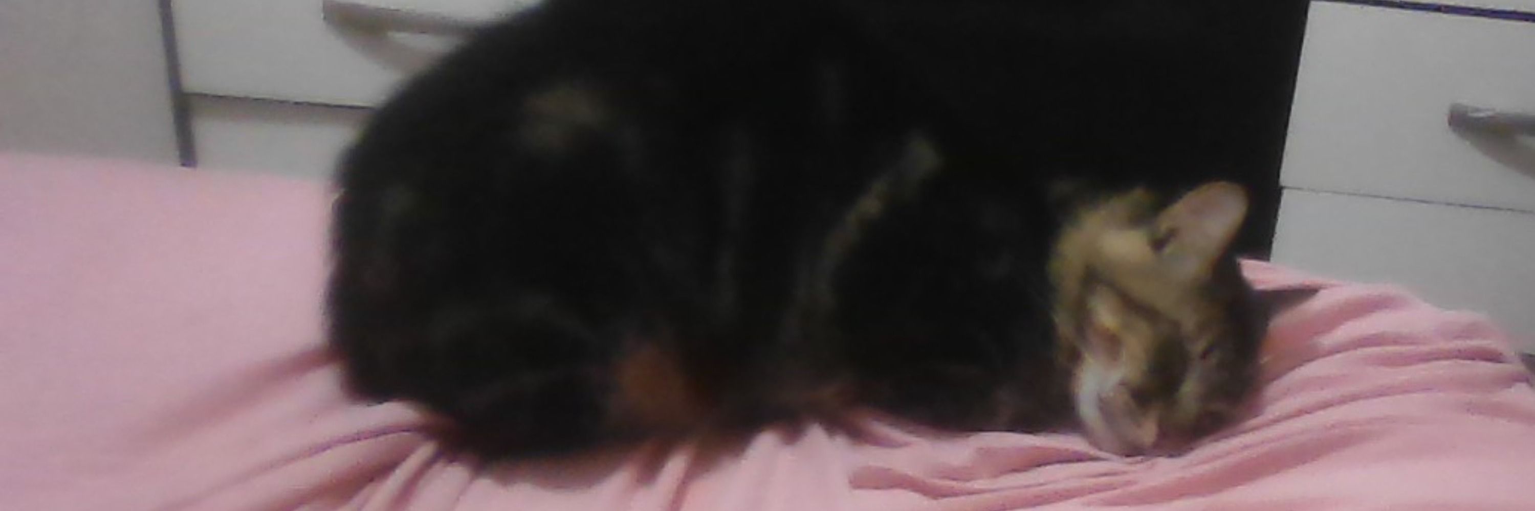 Dudum