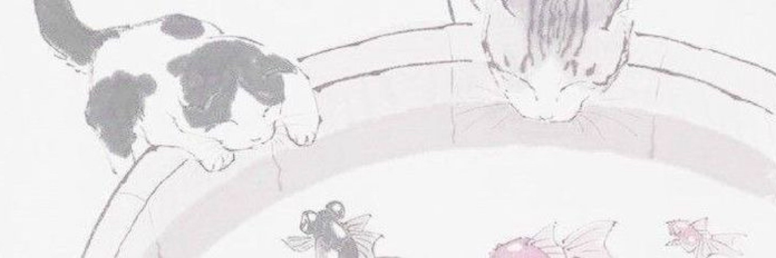 cat ❤︎︎