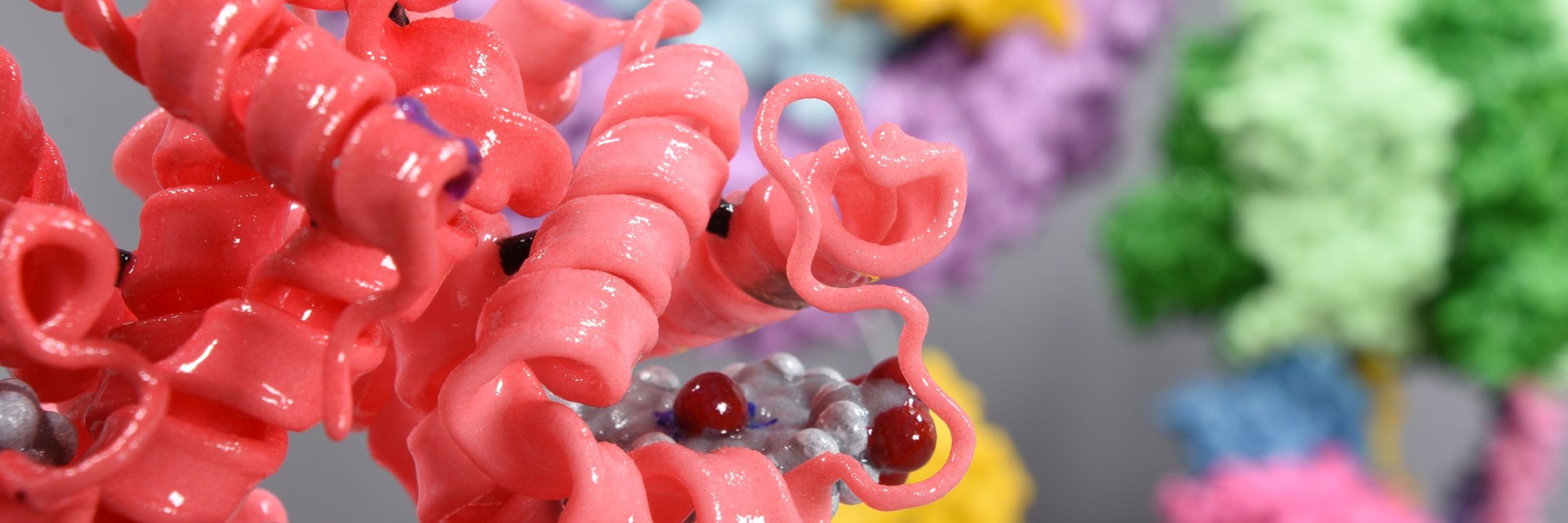 Molecular Models