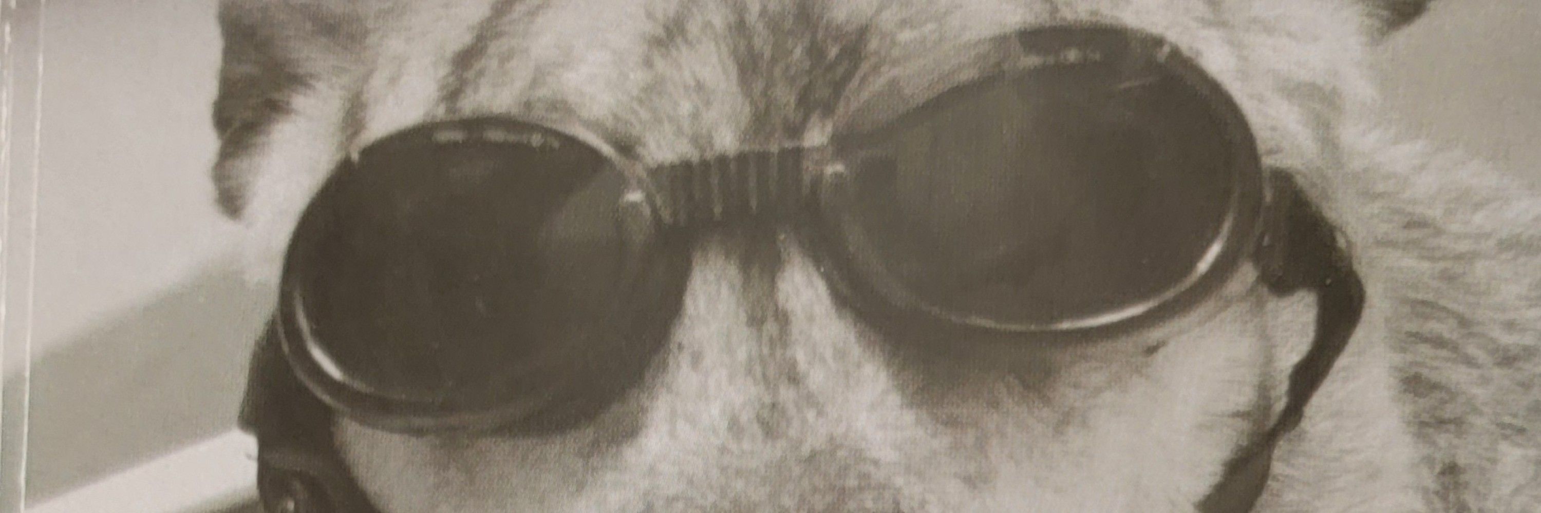Tom Diligenter