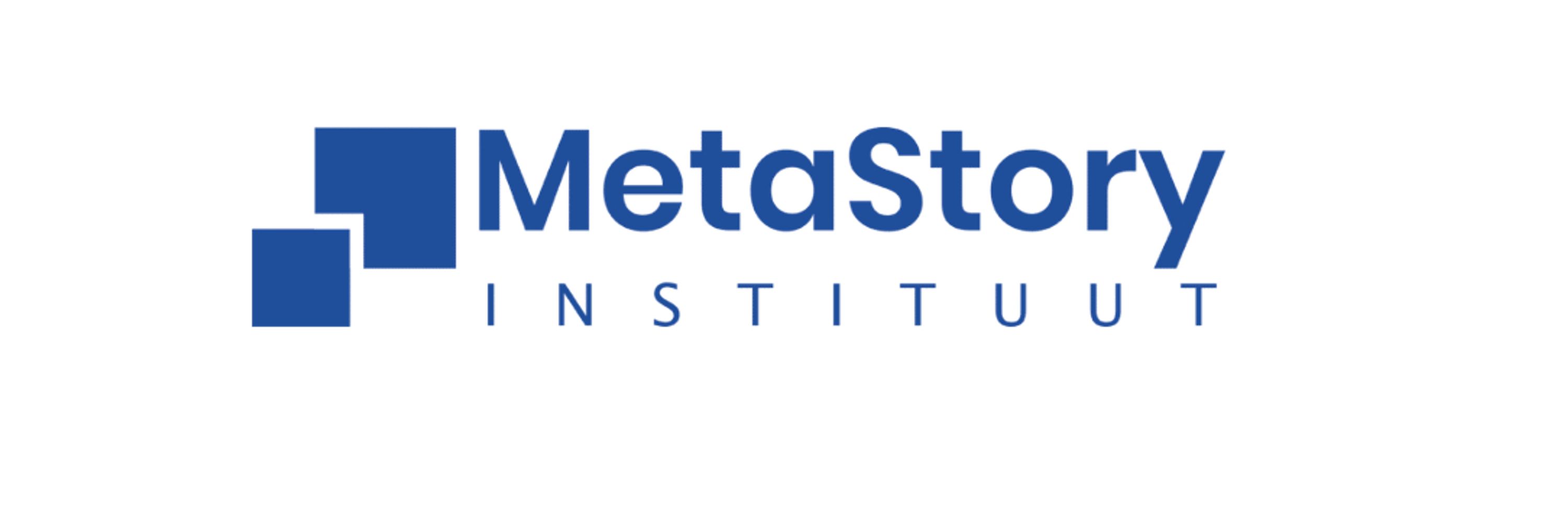 Tamme de Leur | MetaStory Instituut