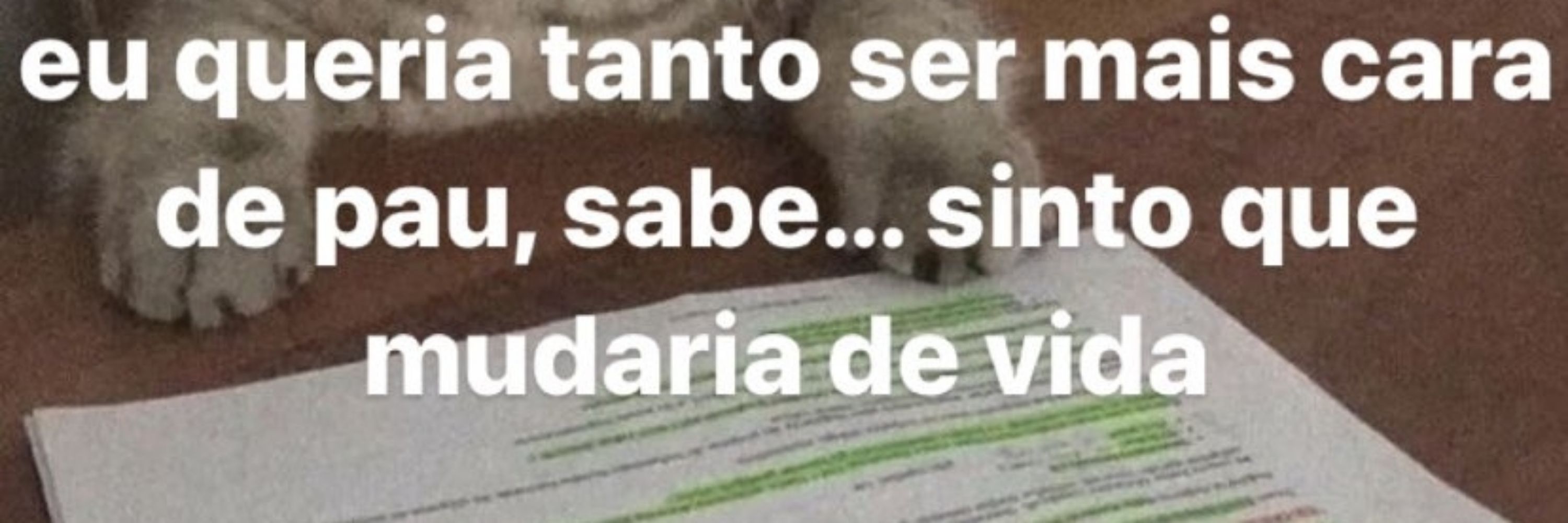 flautinha 
