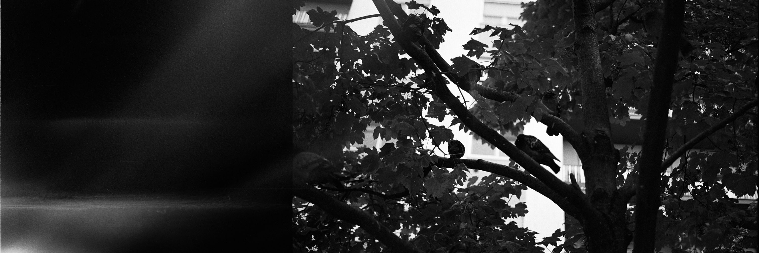 claudio____sm