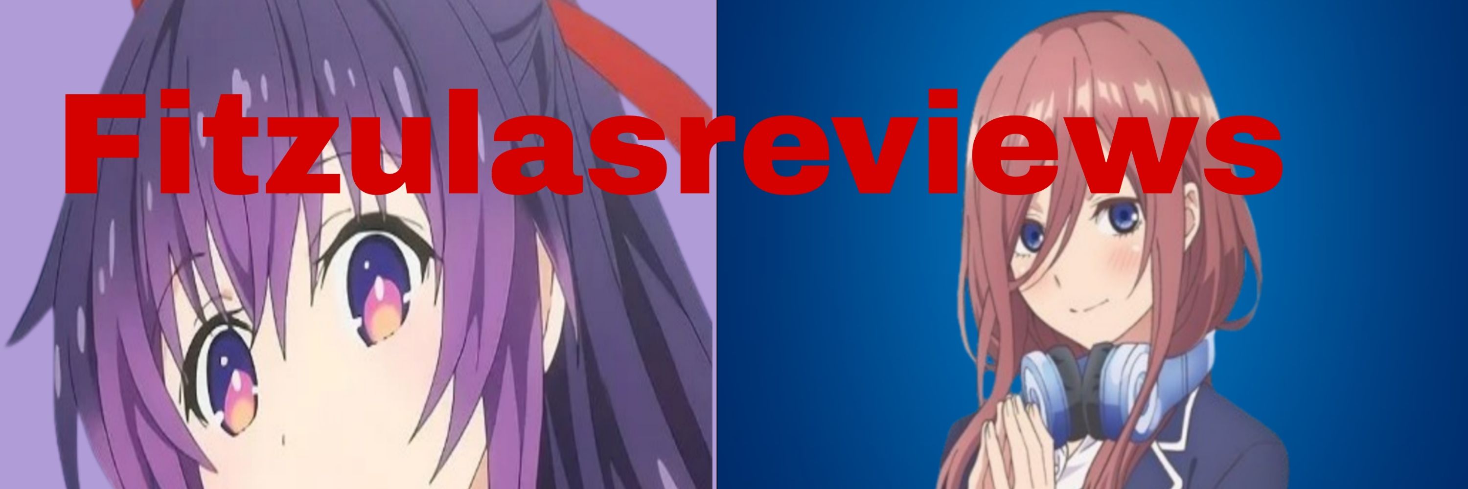 FitzulasReviews