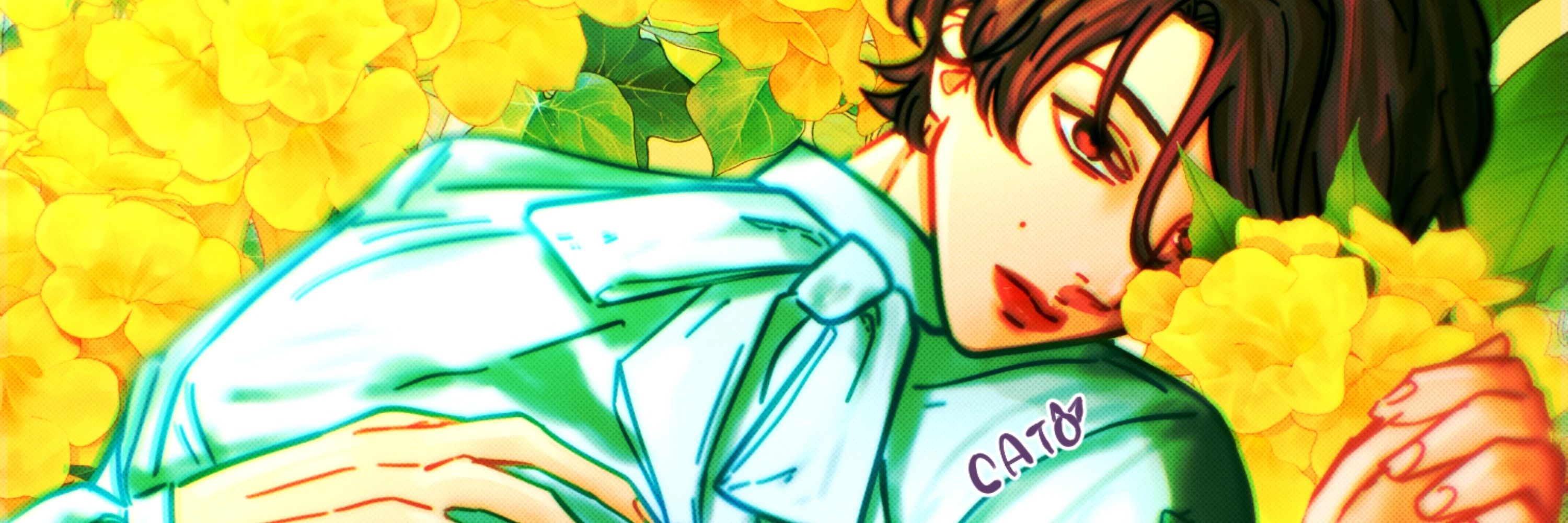 cato.