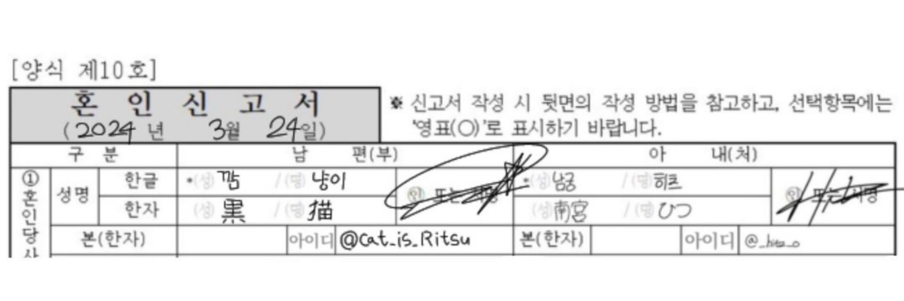 깜냥이🖤🐈‍⬛