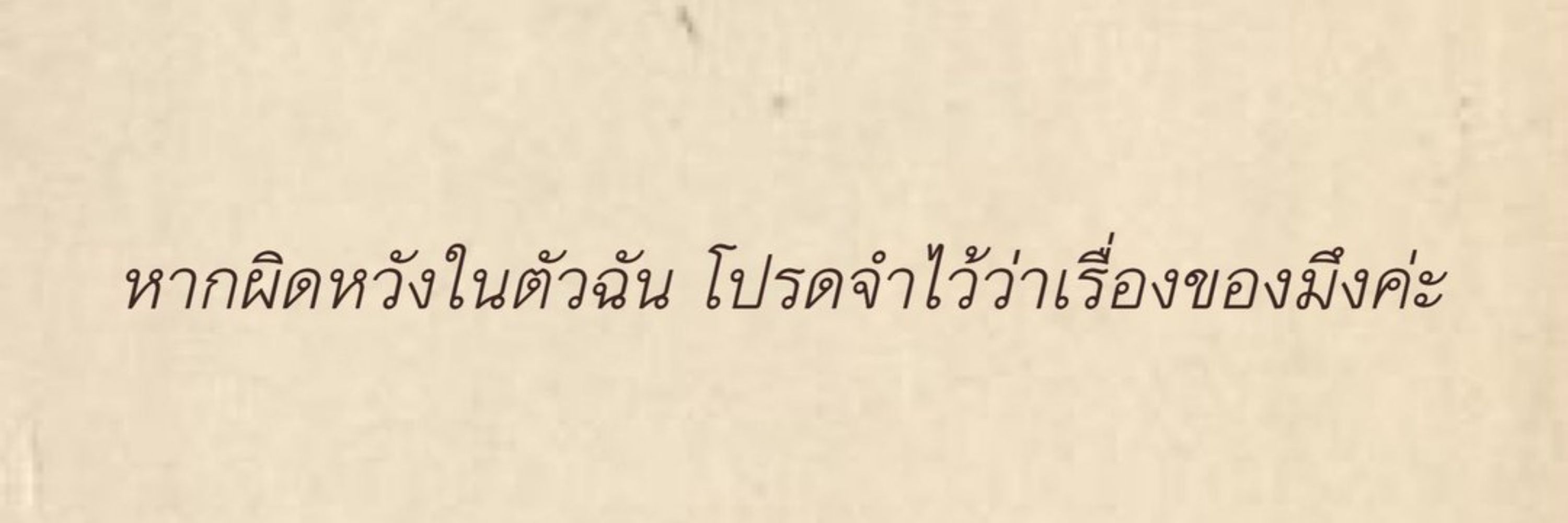 เจ้าแมวโง่
