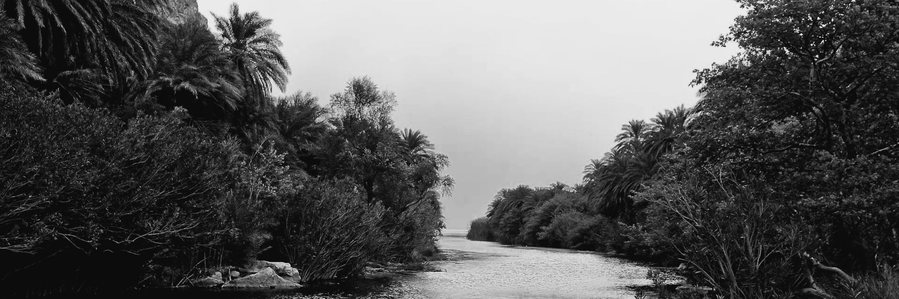 Jolyon Ansuz