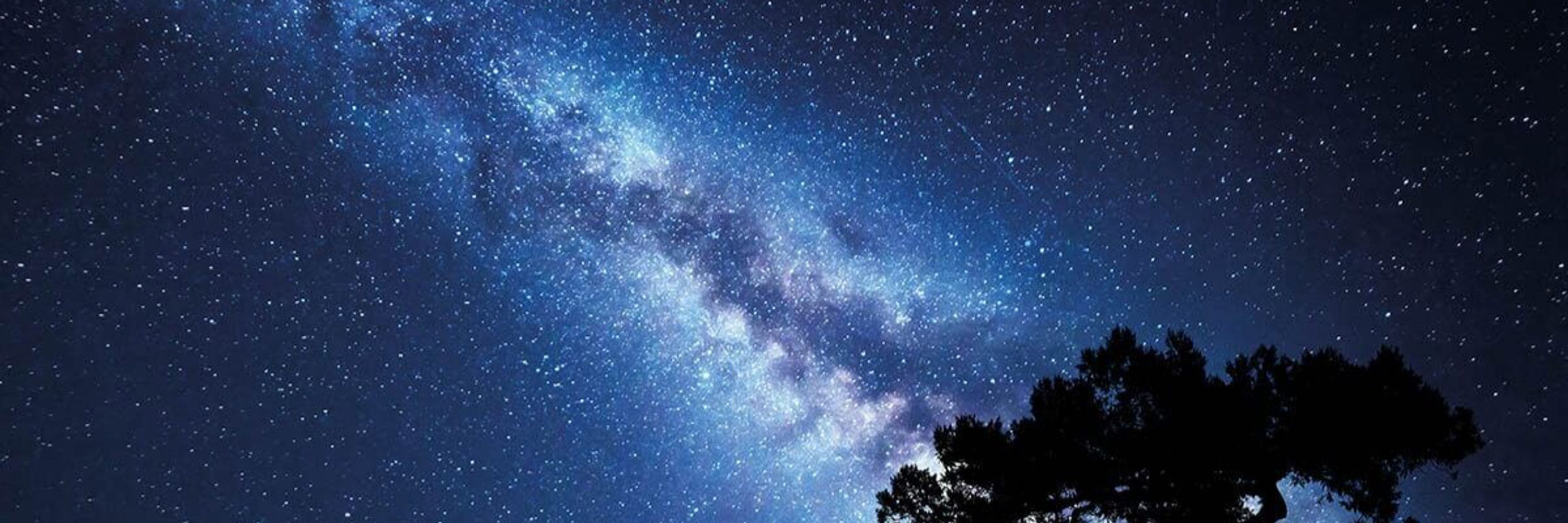 ✧༺𝚃𝚠𝚒𝚝𝚌𝚑༻✧
