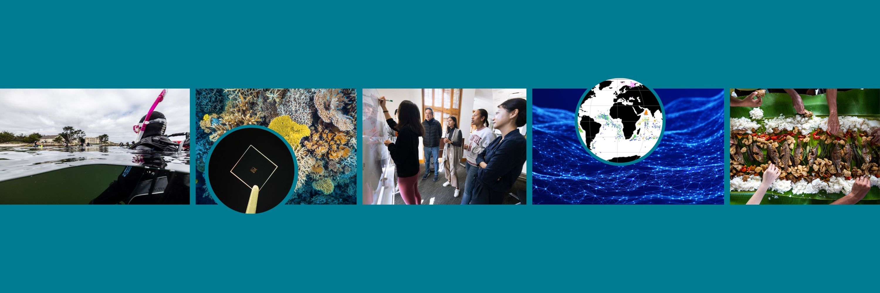 Stanford Center for Ocean Solutions