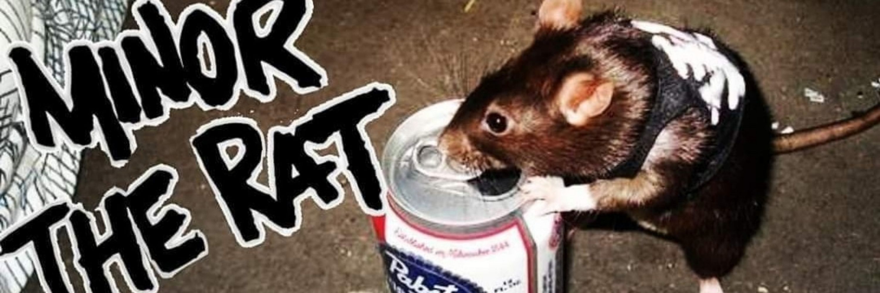 That Rat Kismet