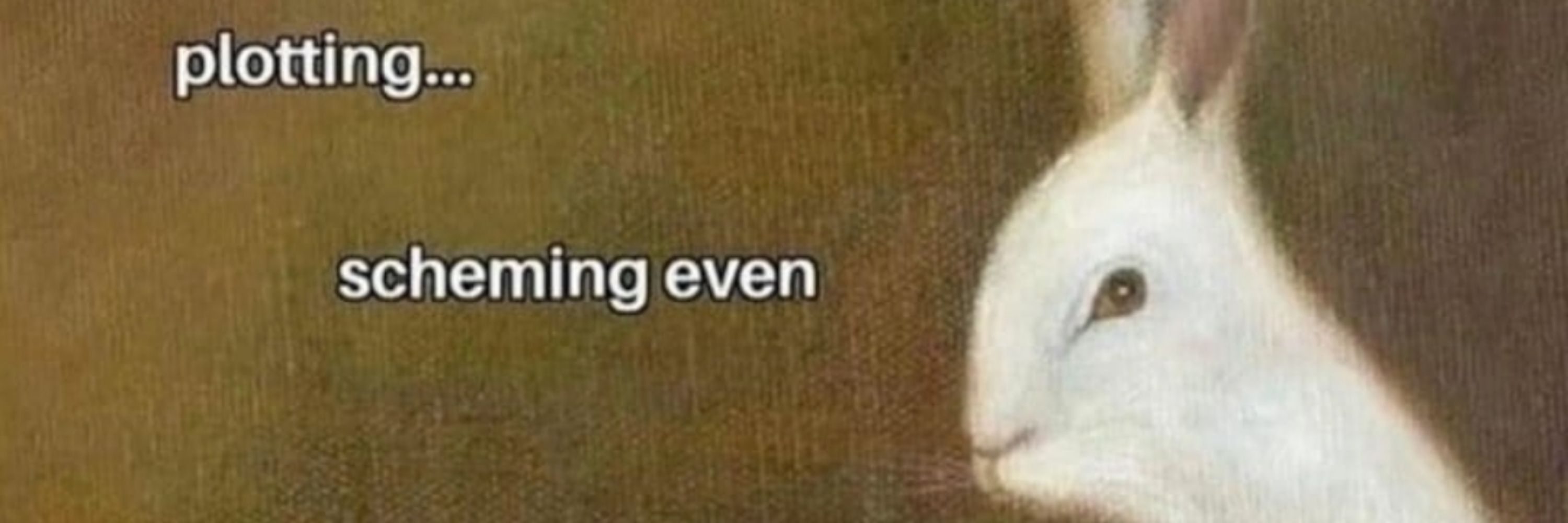 nïn