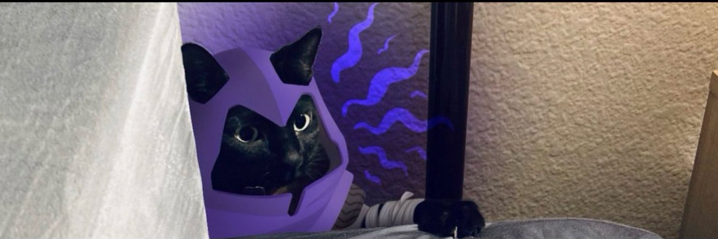 𝕵𝖆𝖘𝖔𝖓 𝕸𝖆𝖗𝖓𝖔𝖈𝖍𝖆🦇