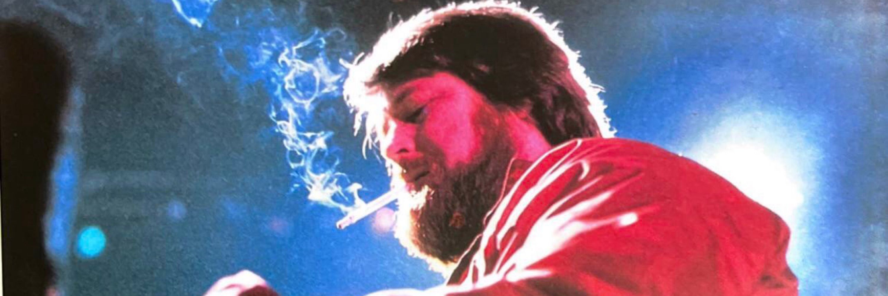 the brian wilson understander