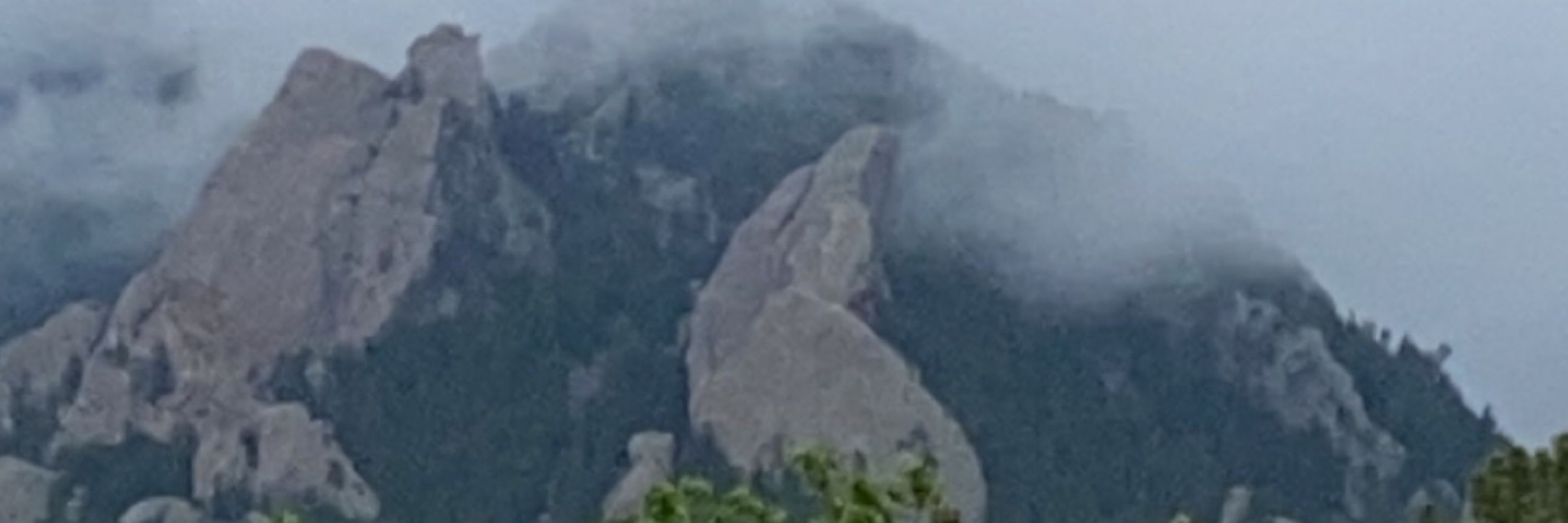 BoulderBelle (same as the dead bird site)