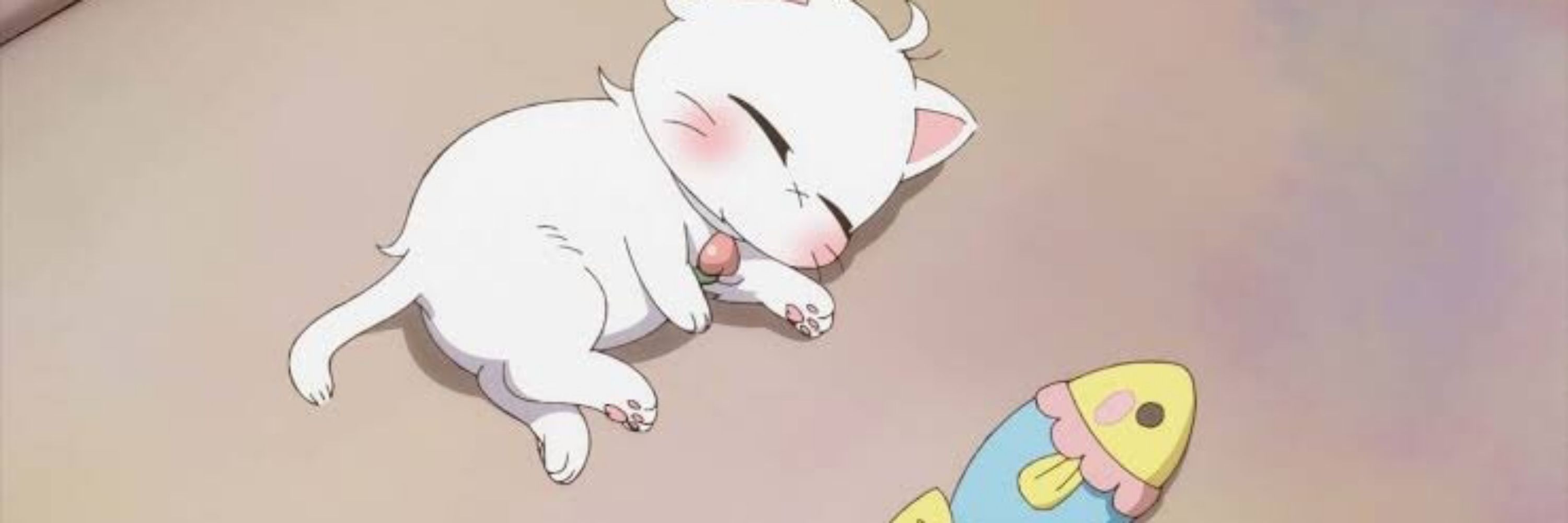 UglyKitty