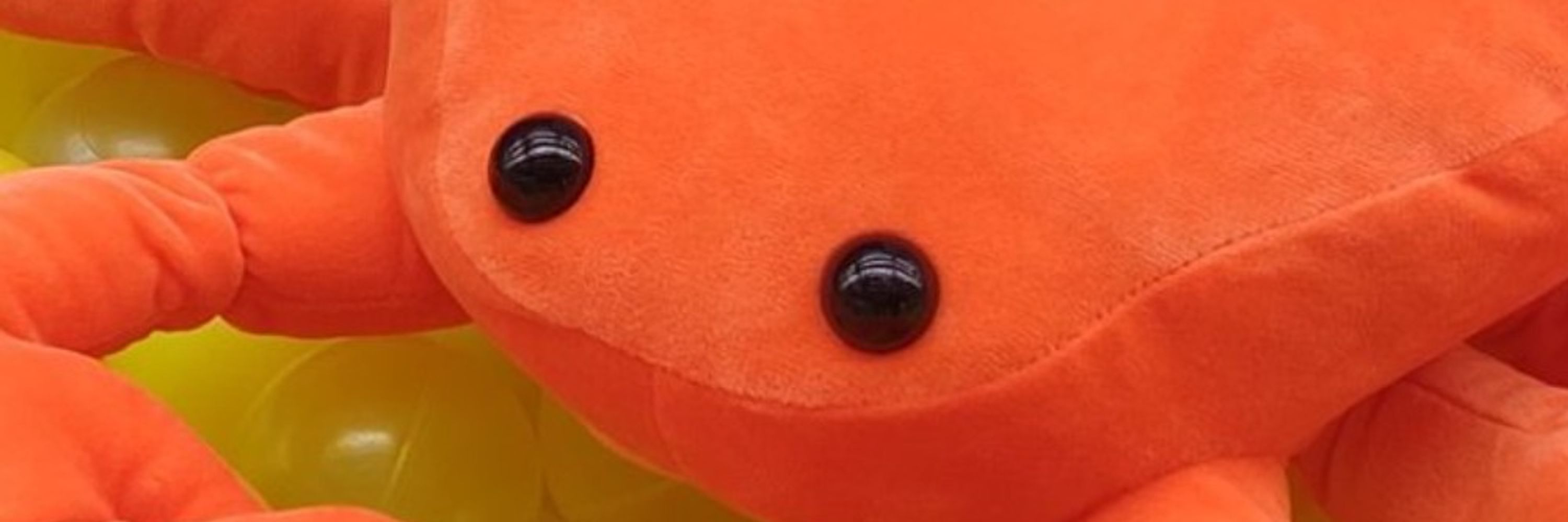 ぽこぽこ