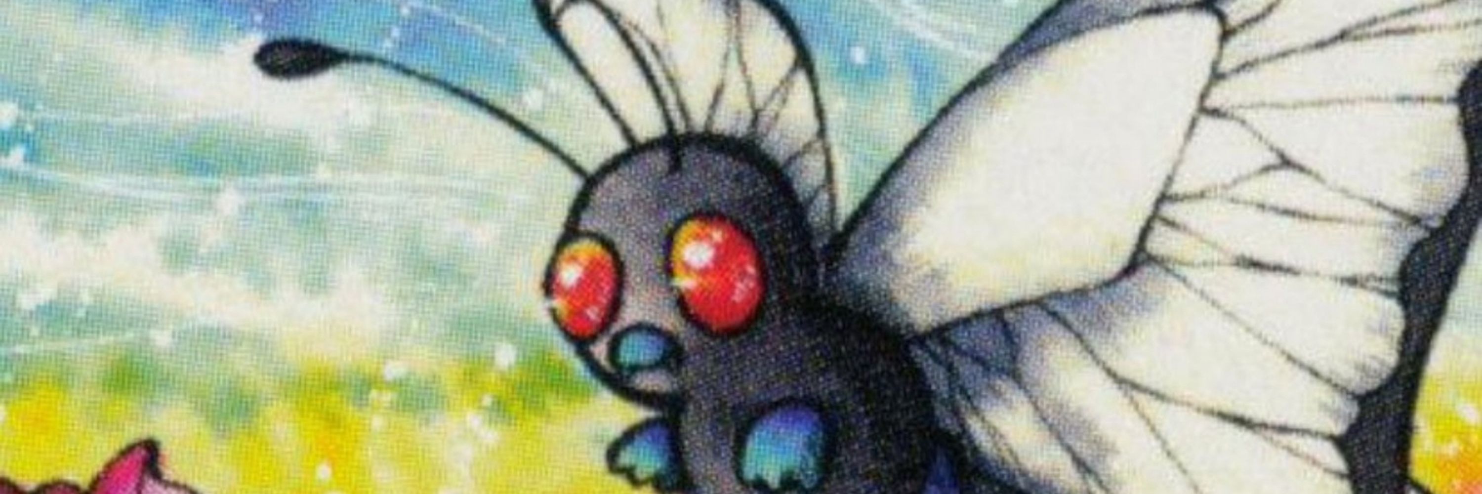 Pachi