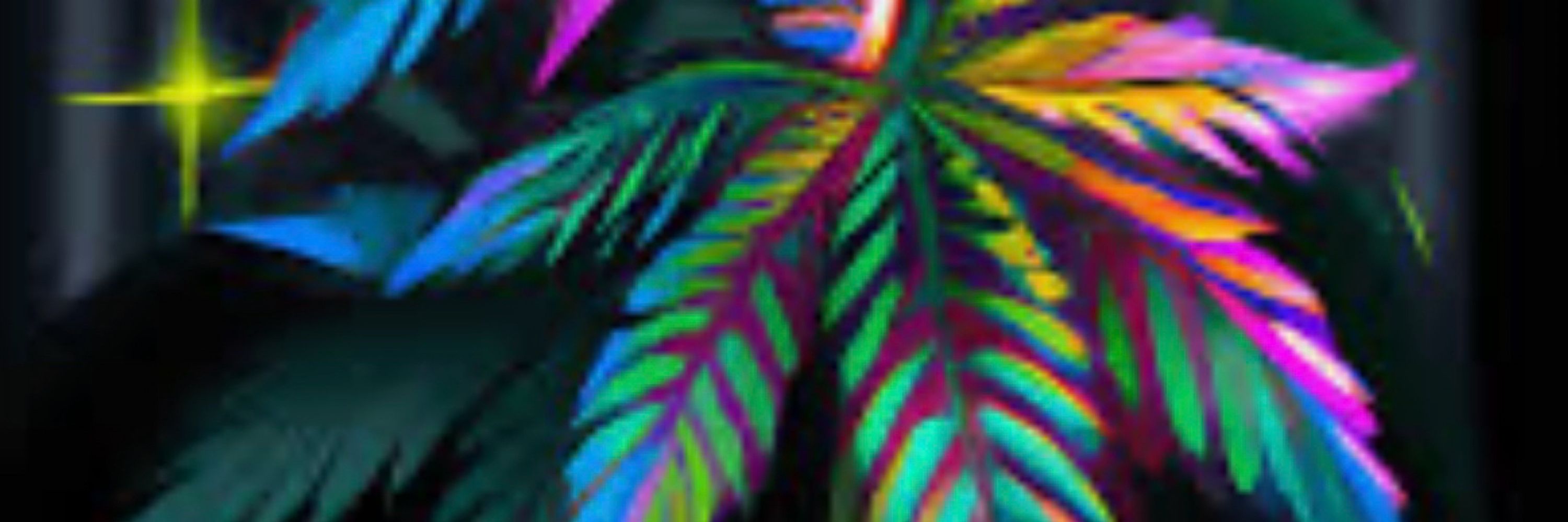 GraMar
