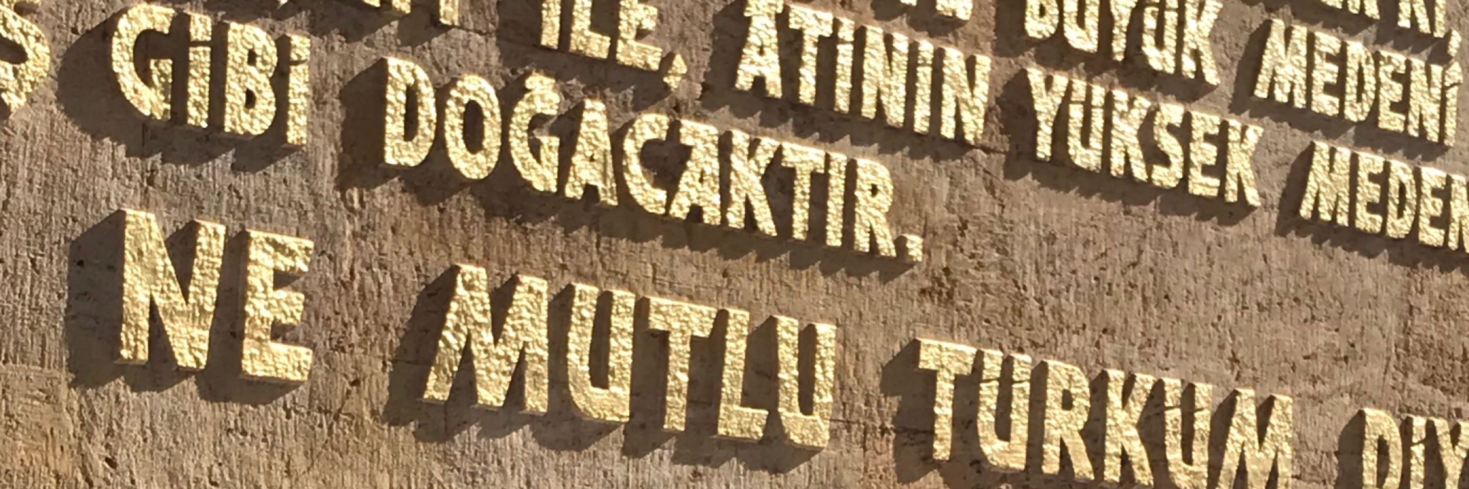 Yeşil zeytin🫒🍸