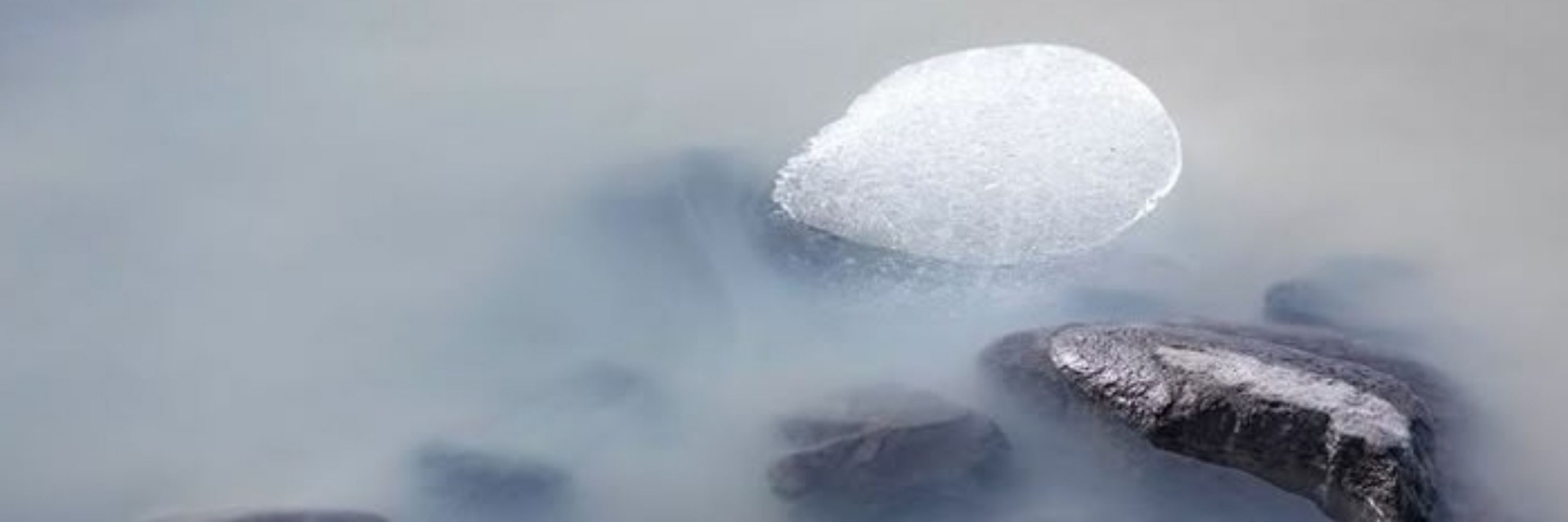 coconutjelly