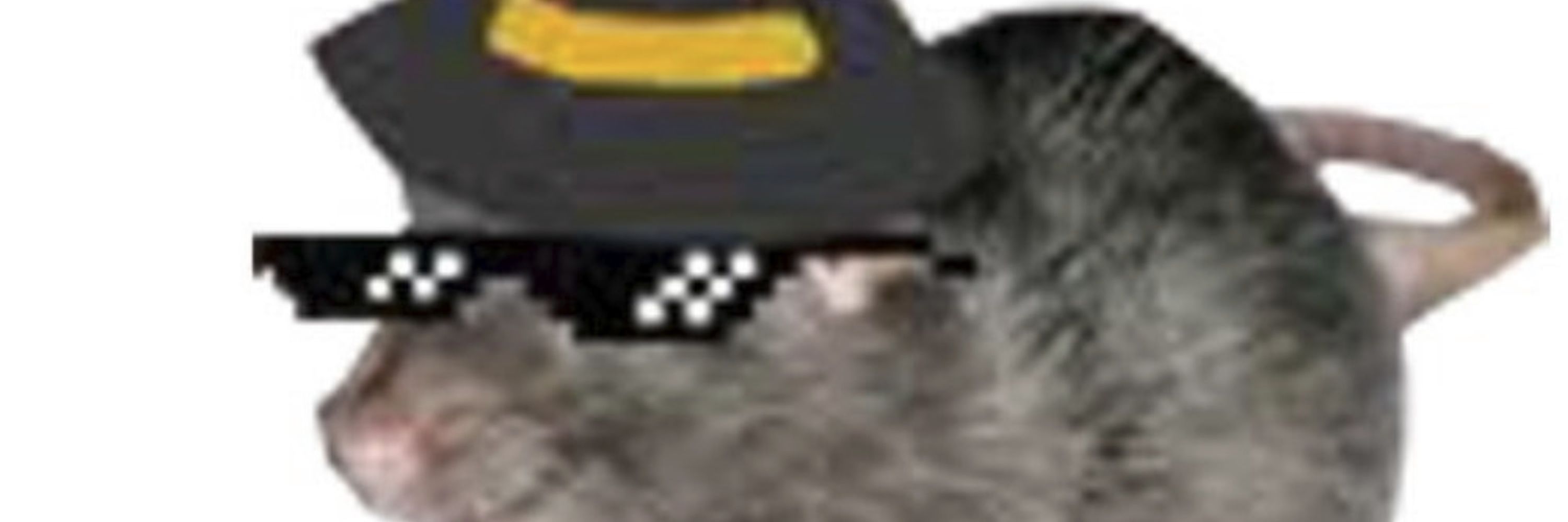 Ɨx, the Eepy Rat