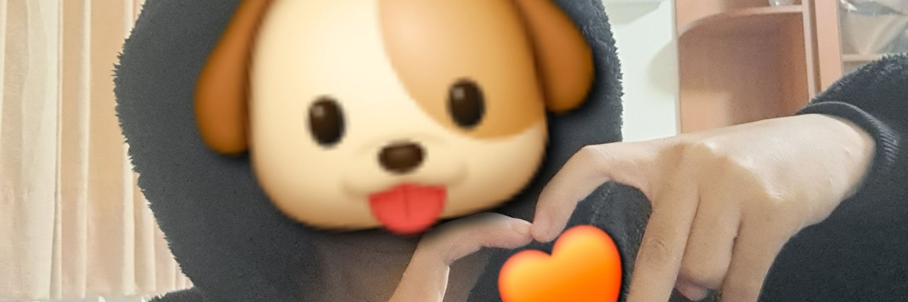 雪楓🐶
