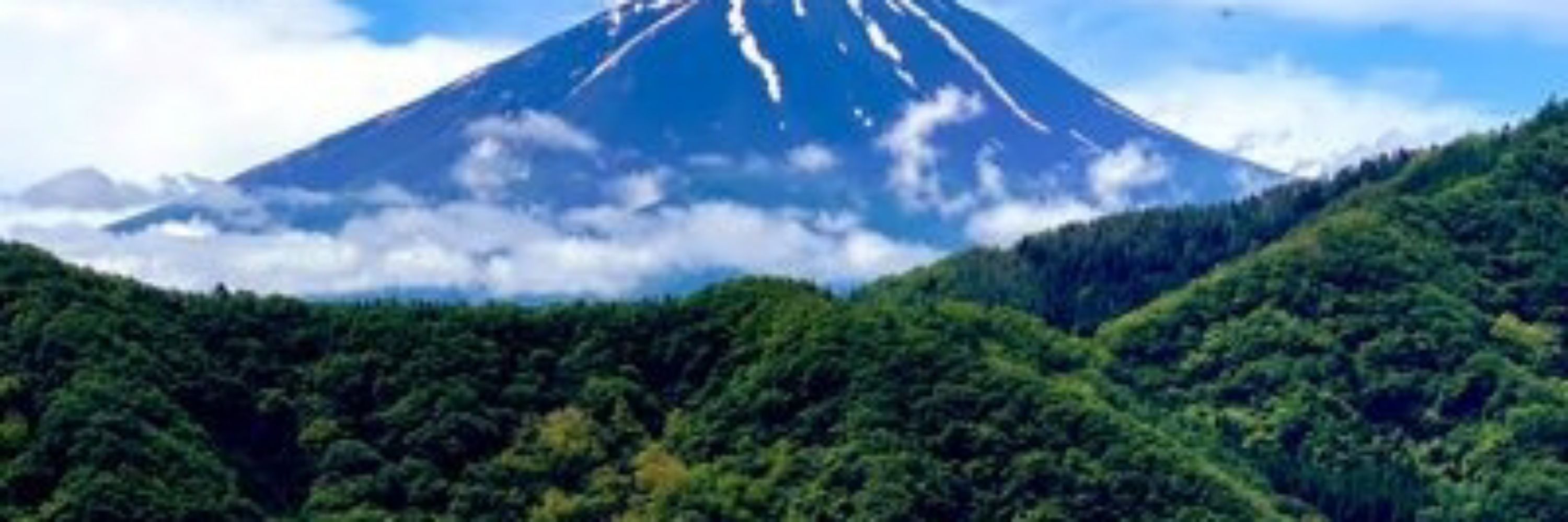 高橋愛子