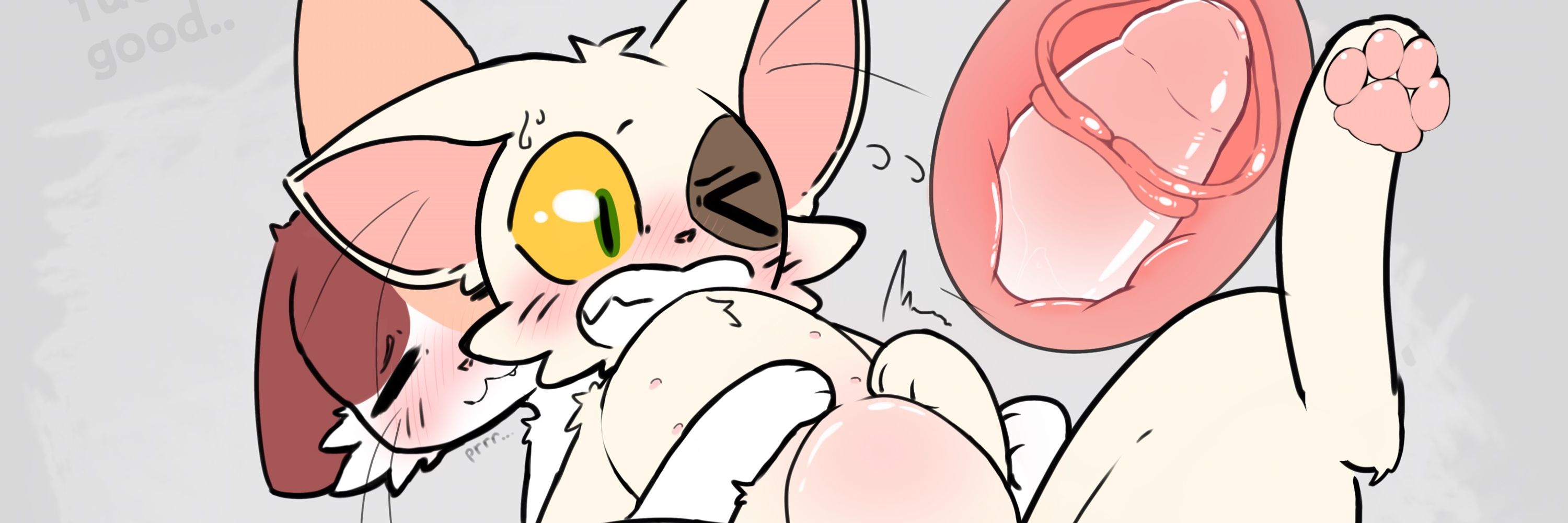 CatMakinBiscuits 🔞