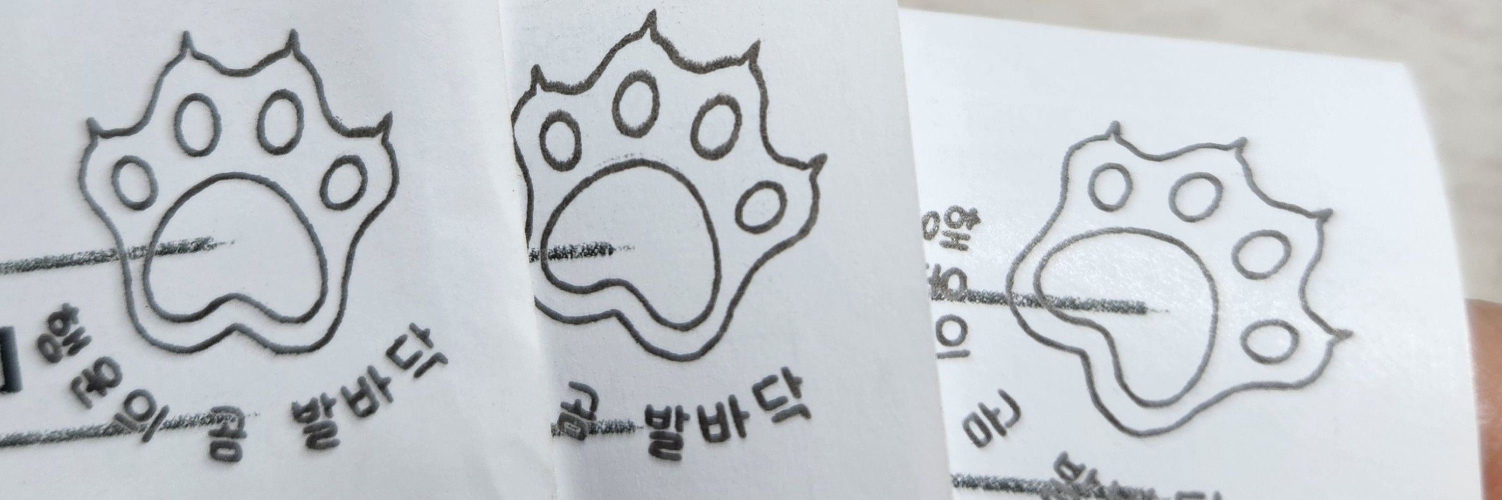 스푸카🍯