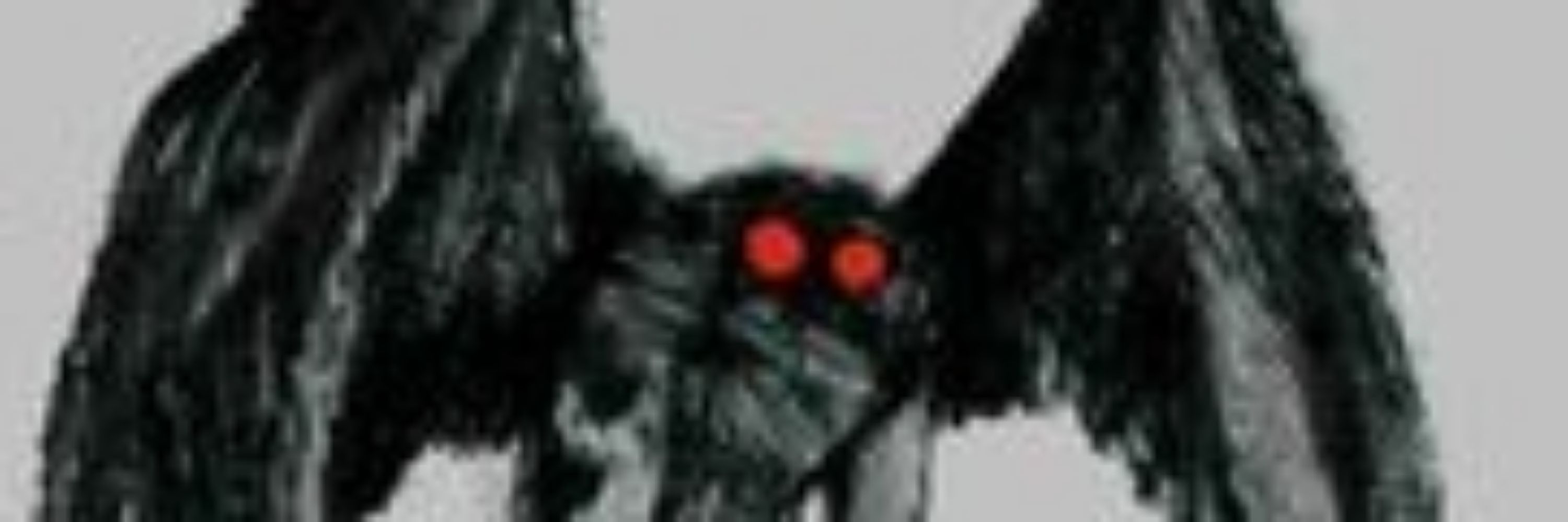 BaronVonMothman