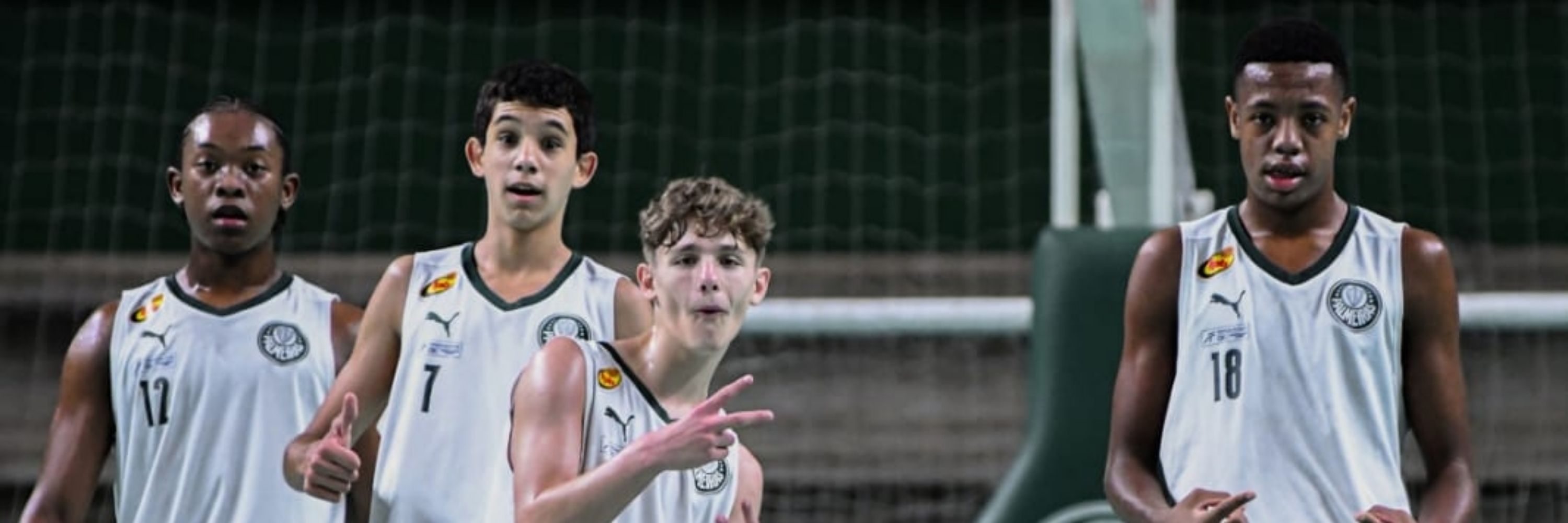 Basquete Palestrino 