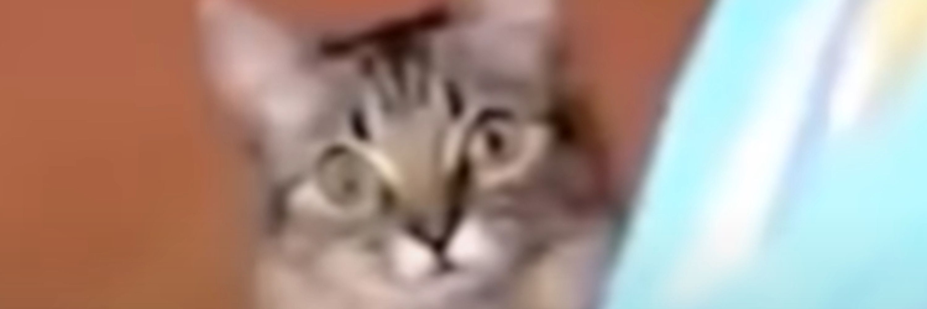 culobTV