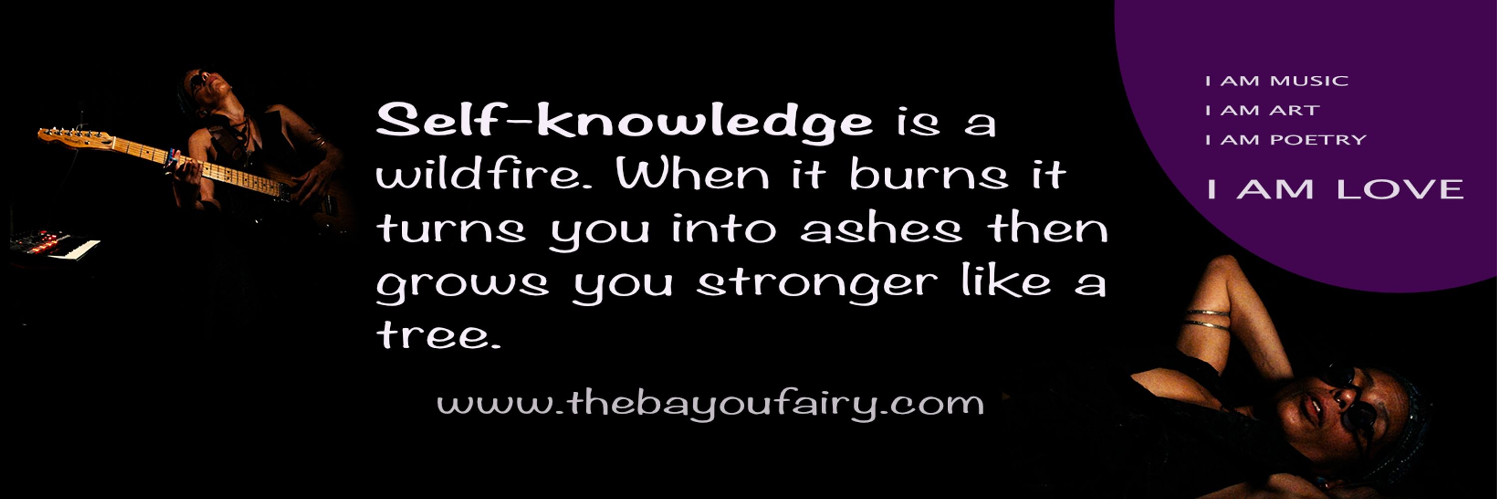 The Bayou Fairy