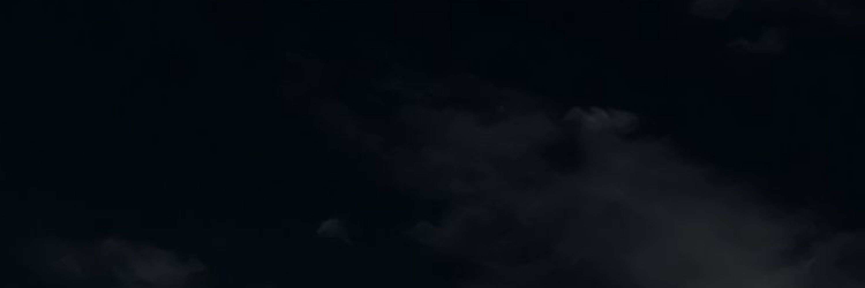 Vi