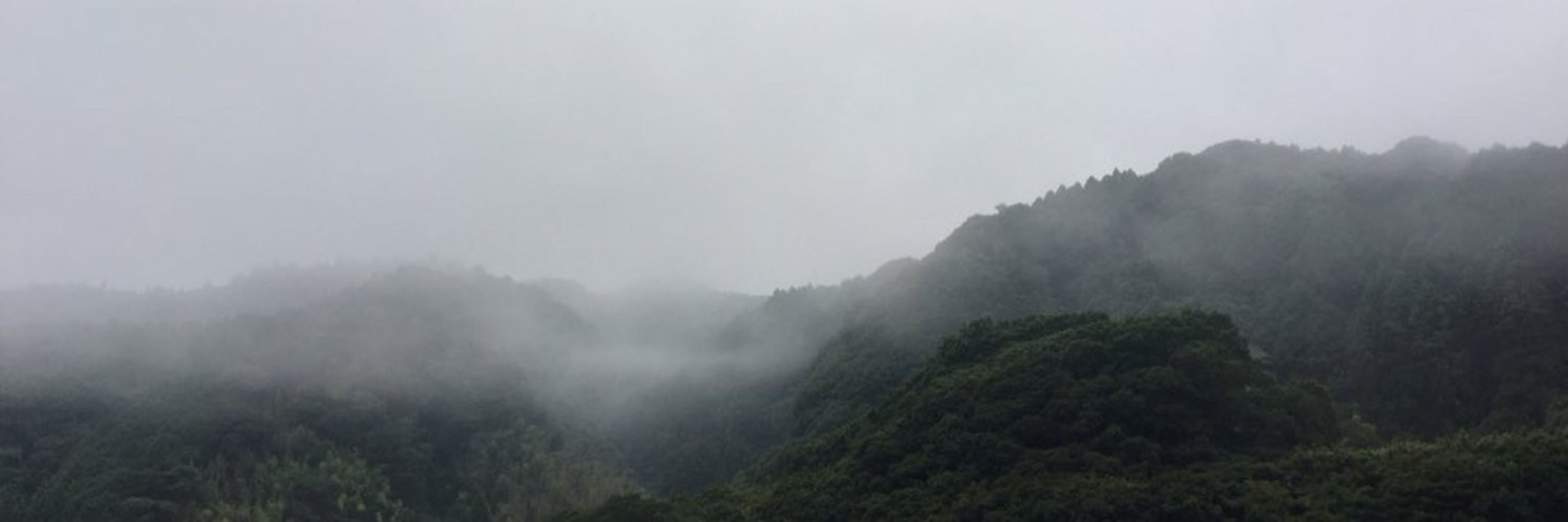 平岡扇聿（ひらおかせんいつ）